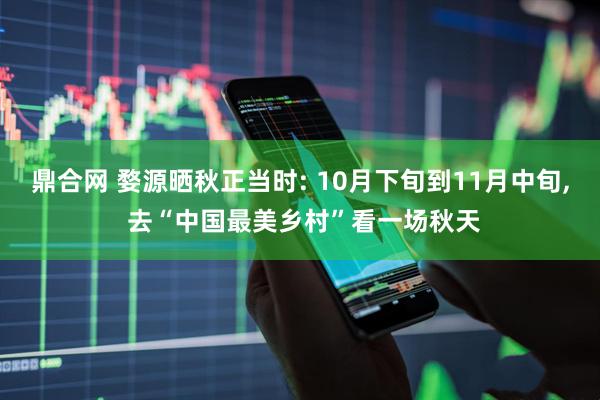 鼎合网 婺源晒秋正当时: 10月下旬到11月中旬, 去“中国最美乡村”看一场秋天