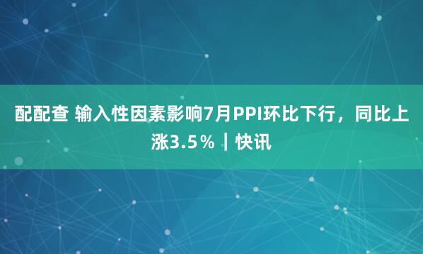 配配查 输入性因素影响7月PPI环比下行，同比上涨3.5％｜快讯